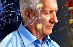 C3731e31dd8bb6393579c5ae88263e2c