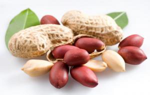 C7476f4efc8e89753ccb44b2bc5e020f