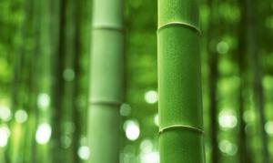 Fbac8b20d17f067a5e82bdb99ae4ef58