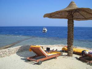 007aa024588e2af7ca65ae0c44e2b193