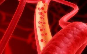 1ccdbe768164cb931de7402ed50098af