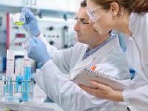 29b3fc143d8a3bf017ddbbfcecfa5545