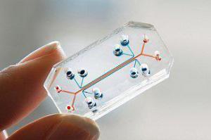 336967c3d9952ee1fa40491ded1c373e