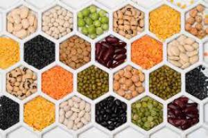 60c98d53fd2d52f35a55a4f99cb8b12a