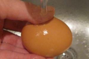 76ed2e58fe9ead7c2d6db115930bc407