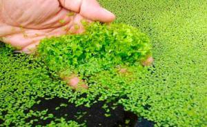 82c57ba1ff8666c46c79c34915aaa011