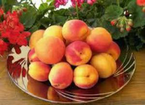 A5a18eed40b239c49584aebf8a6bb650