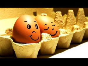 Ae7186febb7cf5113c97262d33271669