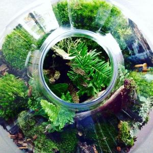 Bcf7f0f5cd6710082d1f248c8bea3394