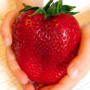 C78e9db392401bfad46139ca4a122d08