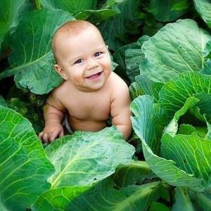 Da4ed24c6711321a01adda6296616aab