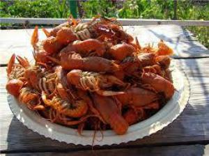 E848890d5f2546d27eefba042bd4ccbd