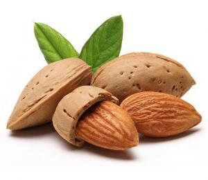 F10f94d414198798fb79e2cff11ca628