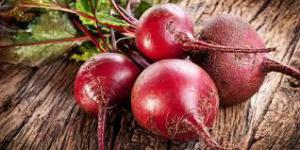 Fa23969050f5f673ae3ae6387f79c3bc