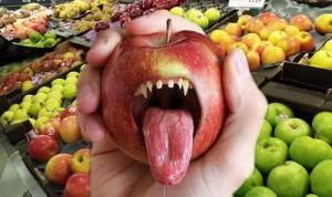 01724e1c0d56d9611cf70085bd06b335