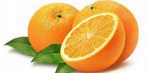 04b71c87bfbd419959e4bbe664902922