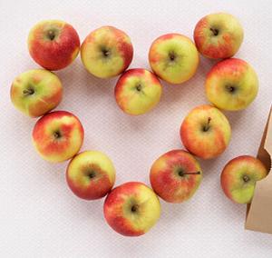 0cb59c9a2445e154e487a1b1dd8dc448