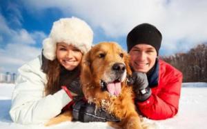 0d7c1e870f1e9d5dd10291f216f65d91