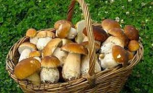 1766848586eab594687abb18b352f112