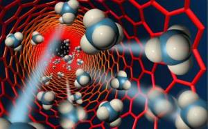 197fc66616764ea9bc35295287725010