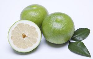 1a2e4fad4309e33ac2731f58b2ebd857