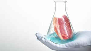 2c8030077bead0c6e72ff4347310596d