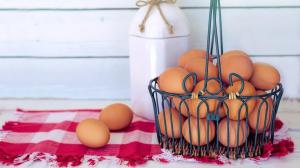 30f56b6333b73a1185748ba356845374