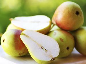 408c0f792bf283ea58368ae451907920