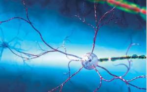 48e2d891319970b8bf21931543ac8c65