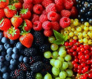 514daf1a034ece98782e106363c90a60