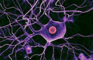 54bd299d189f494c6b088212d8eb0de1