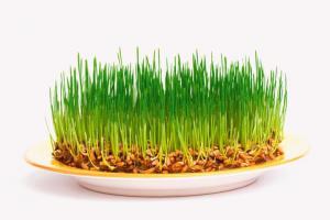 5aff54e7703f07eb4a425b2d69284357