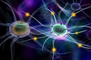 67741ca5afa37a54a1ab2b3fa70e72c4