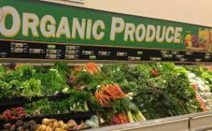 69e22205ec3a1d946b14345b08190440