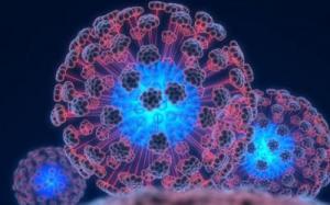 6c3b4a392d00c80258ab632edd43e881