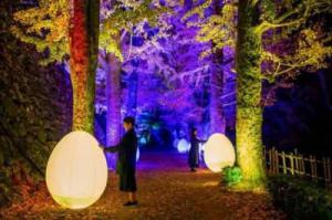 6e34a93e60129654c46523debd776682