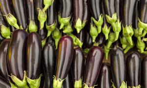 843a57df313f0d3f2603bb906ead76c1