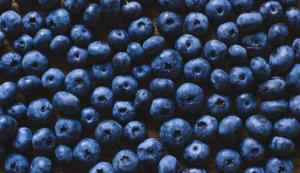 894756778ecb62137d89735ed57d5576