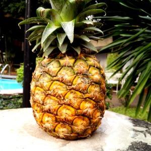 8e54a319fda127cdc2669b3fe9941997