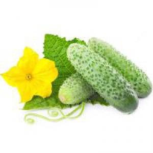 93ded86e43c2317d8d82fe928fa717bd