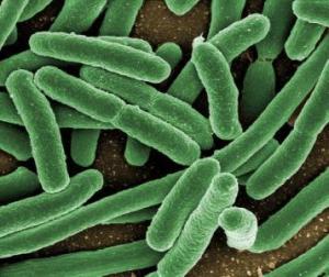 9d554997b7d1a11b05aad72c1f650f00