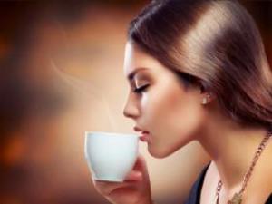 9d5773a0463bd10dc716c2a174742788