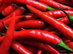 9e0b9d0510ac2af6d00623374a8d2dea