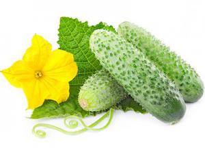 A1f342ab6f2350c130b7e7322d7e917b