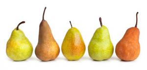 A28b7bf24c9a416f7ec38ddf6a57b230