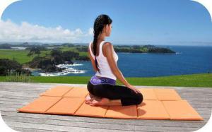 Bf863d46113a4480ecbbc5c84aaeb884