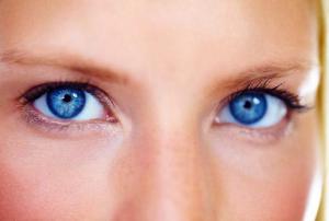 C2dd1a7d94178fe8b9c5b031b628d411