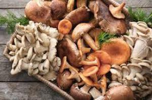 C41344292f51dca647e53962e903e50d