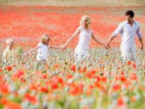 C43a07fa05ce56b713a388645bf47b9d