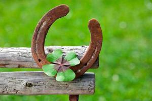 C762f114ba7e1d470df71b8431ea0a94